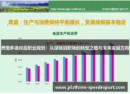 费南多退役后职业规划：从球场到职场的转型之路与未来发展方向