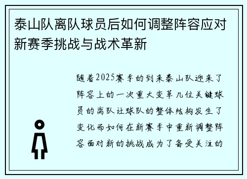 泰山队离队球员后如何调整阵容应对新赛季挑战与战术革新