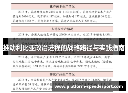 推动利比亚政治进程的战略路径与实践指南