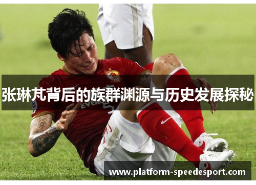 张琳芃背后的族群渊源与历史发展探秘