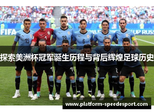 探索美洲杯冠军诞生历程与背后辉煌足球历史